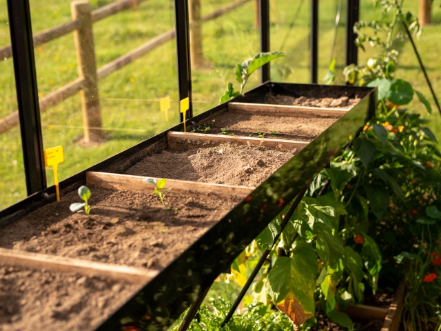 A quoi sert les bacs de rempotage pour serre de jardin ACD