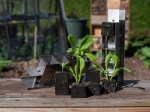 Presse-motte-4