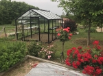 R305 Blackline fleur serre de jardin laquée RAL 9005