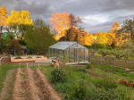 serre jardin verre